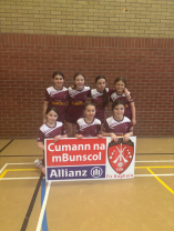 Cumann na mBunscol Hurling and Camogie Tyrone Finals 