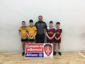 Cumann na mBunscol activities